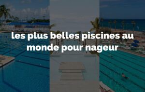Lire la suite à propos de l’article les plus belles piscines au monde pour nageur